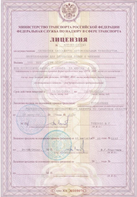 Лицензия на перевозки — страница 1